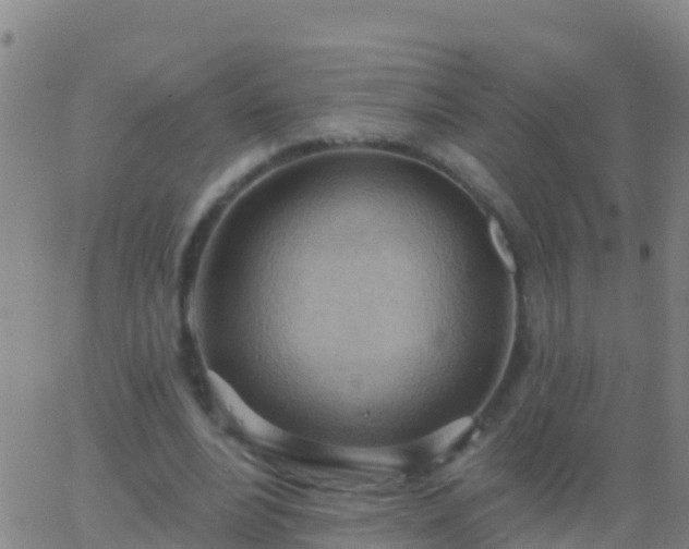 X0000063530488200601271905