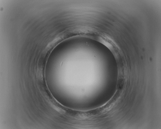 X0000063530489200601271905