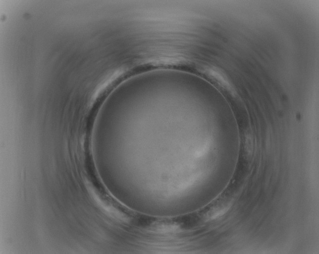 X0000063530491200601271905