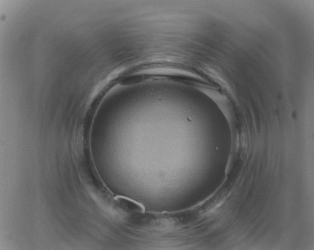 X0000063530492200601271905