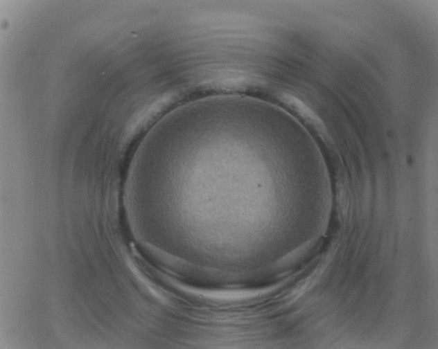 X0000063530493200601271905