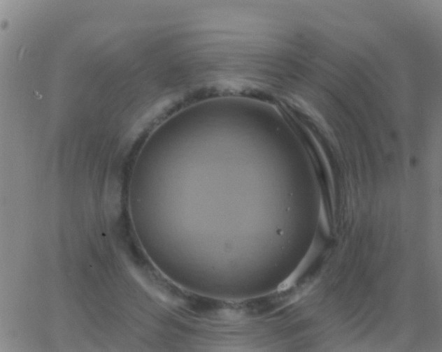 X0000063530496200601271904