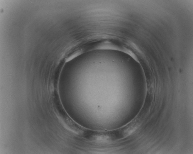 X0000063530500200601271904