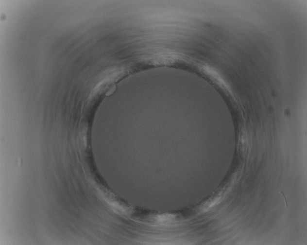 X0000063530501200601271904