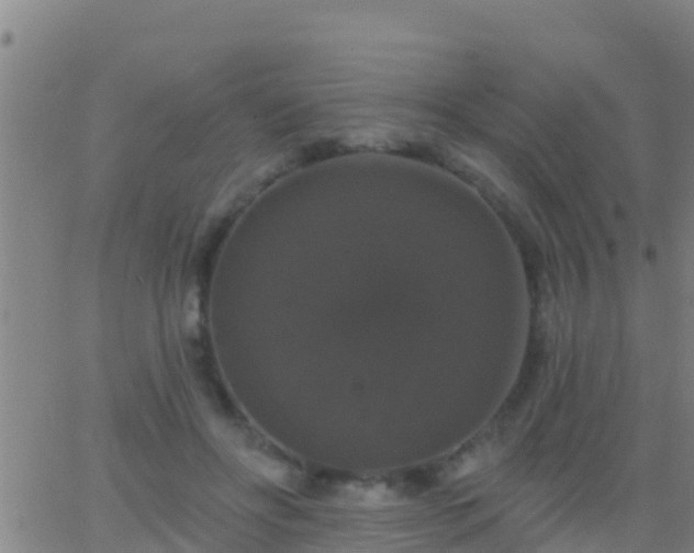 X0000063530502200601271904