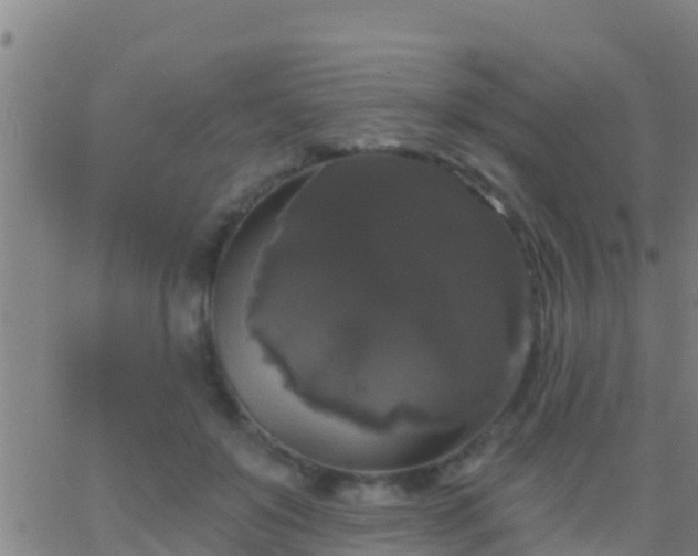 X0000063530503200601271904