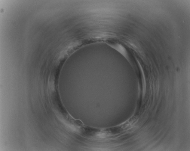 X0000063530504200601271904