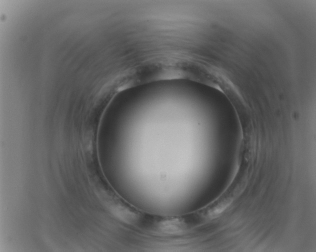 X0000063530505200601271904