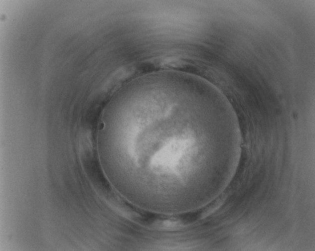 X0000063530506200601271904