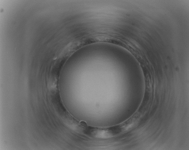 X0000063530507200601271904