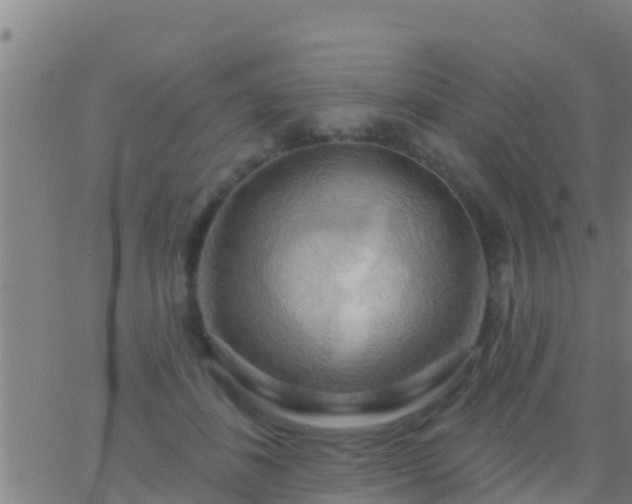 X0000063530508200601271904