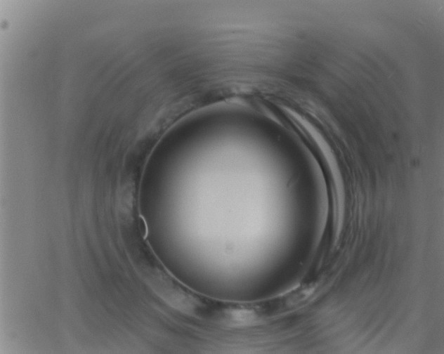 X0000063530509200601271904