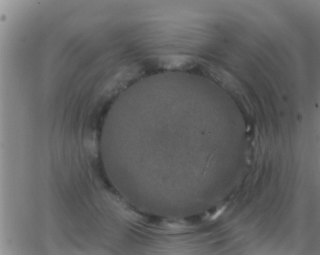 X0000063530510200601271904