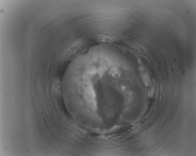 X0000063530511200601271904