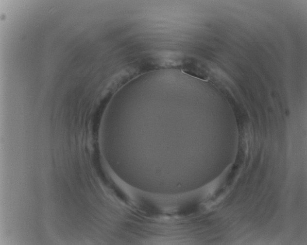 X0000063530512200601271904