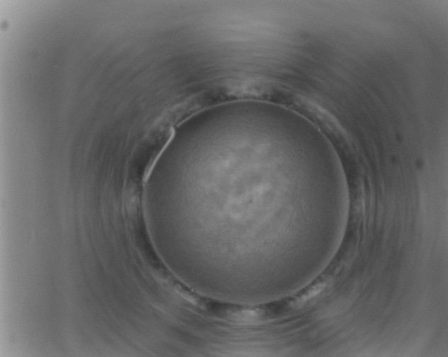 X0000063530513200601271904