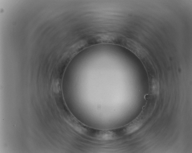 X0000063530514200601271904