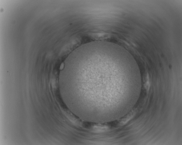 X0000063530515200601271904