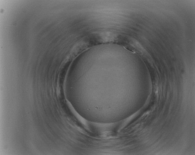 X0000063530516200601271904