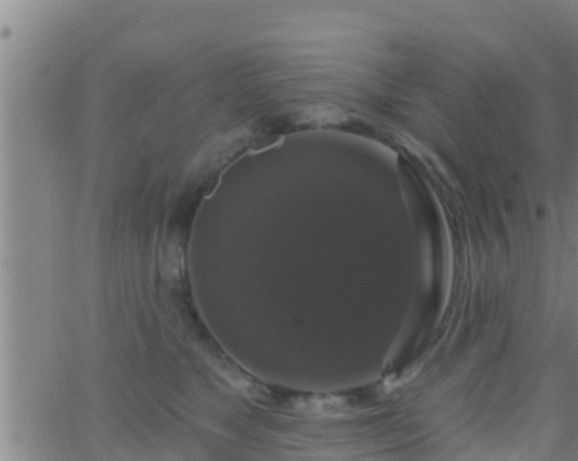 X0000063530517200601271904