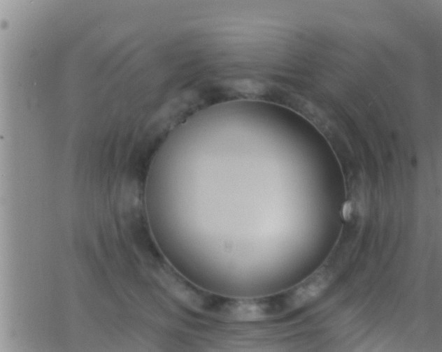 X0000063530518200601271904