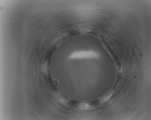 X0000063530519200601271904