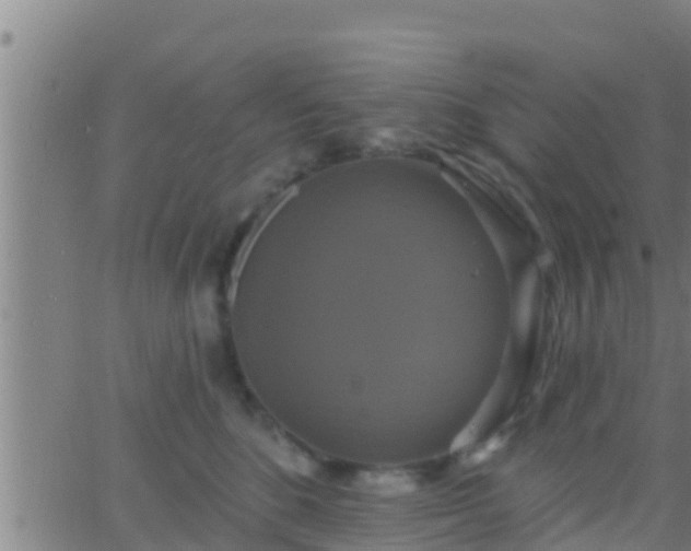 X0000063530520200601271904