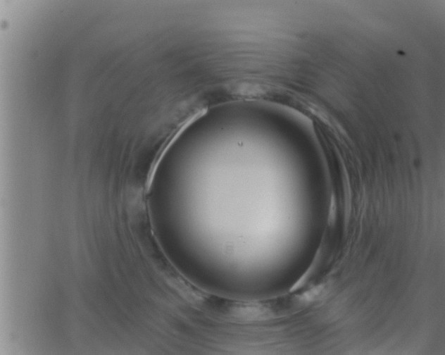 X0000063530521200601271904