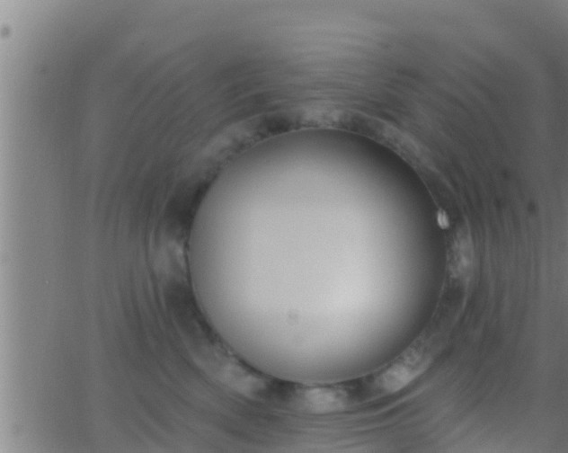 X0000063530522200601271904