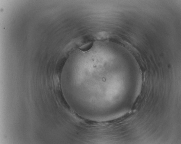 X0000063530523200601271904