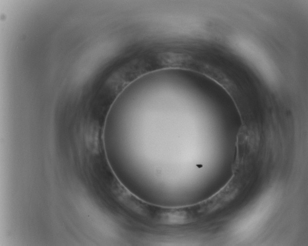 X0000063530525200601271904