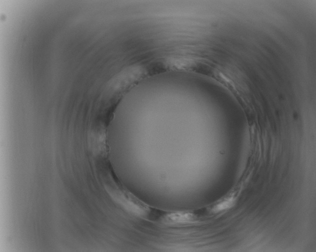 X0000063530526200601271904