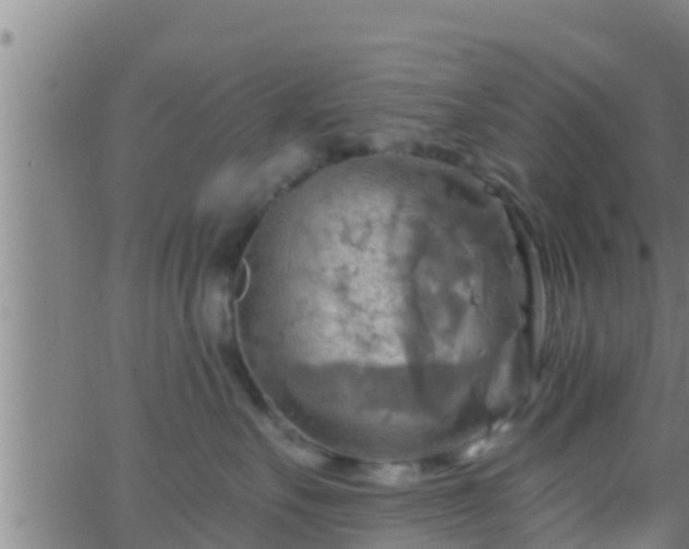 X0000063530527200601271904