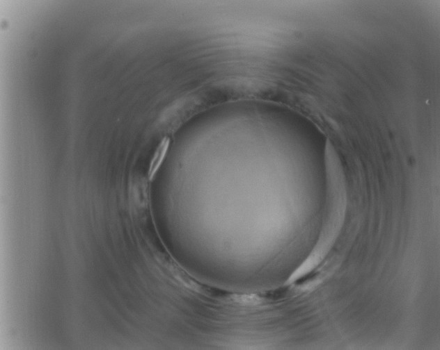 X0000063530528200601271904