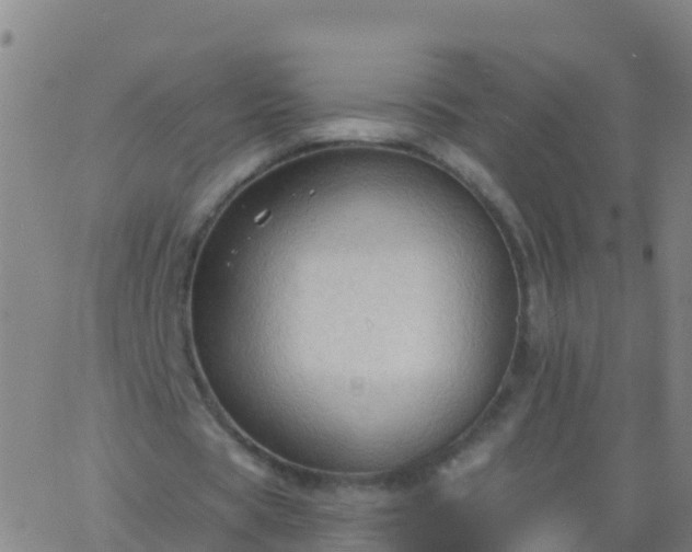 X0000063530529200601271903