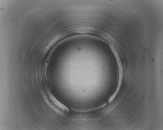 X0000063530530200601271903