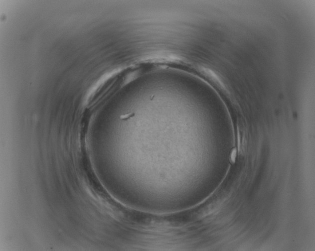 X0000063530531200601271903