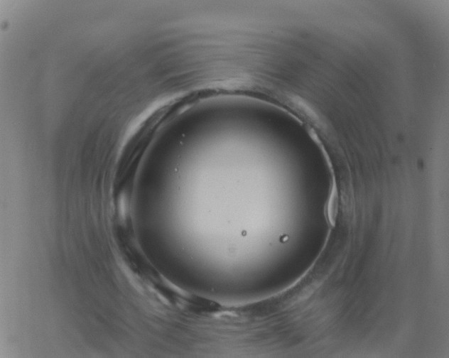 X0000063530532200601271903