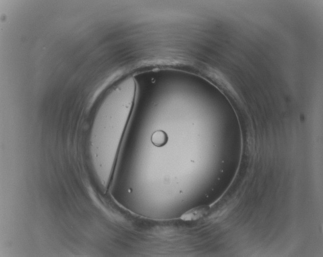 X0000063530534200601271903