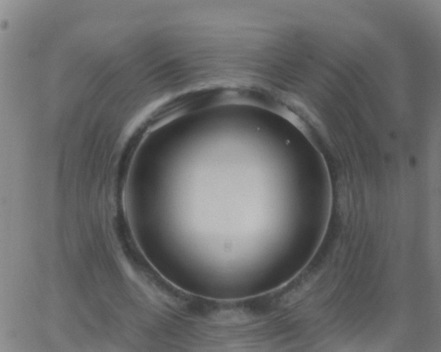 X0000063530536200601271903