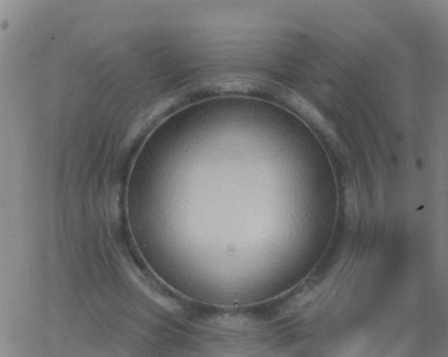 X0000063530537200601271903