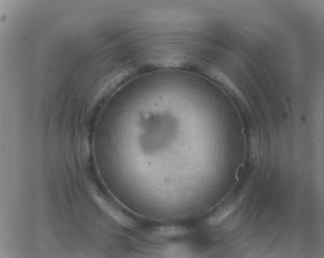 X0000063530541200601271903