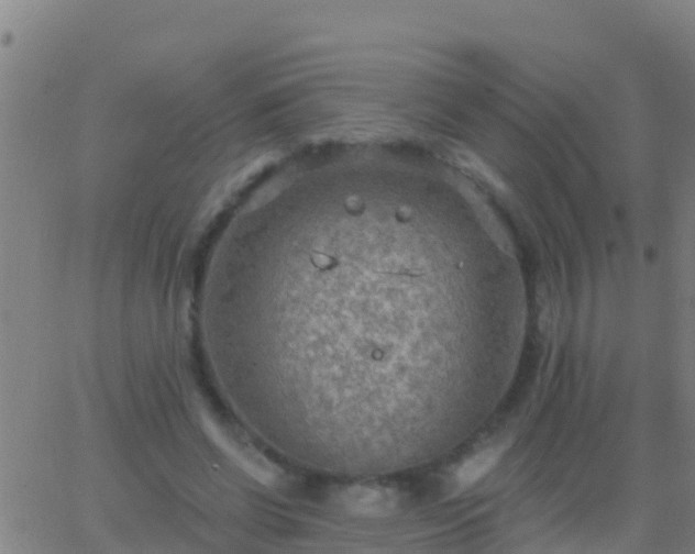 X0000063530542200601271903