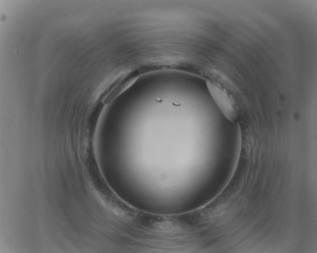 X0000063530544200601271903