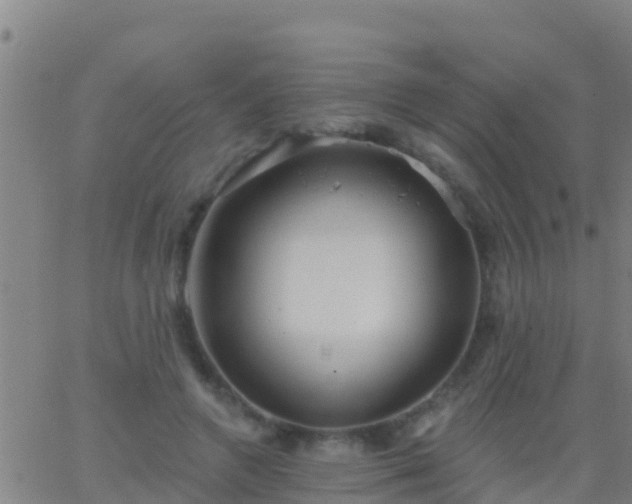 X0000063530546200601271903