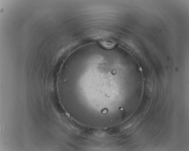 X0000063530547200601271903