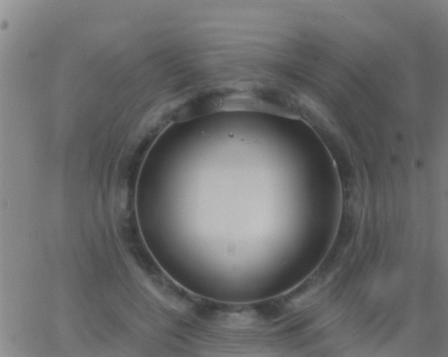 X0000063530548200601271903