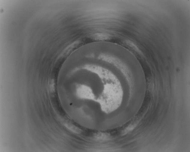 X0000063530549200601271904