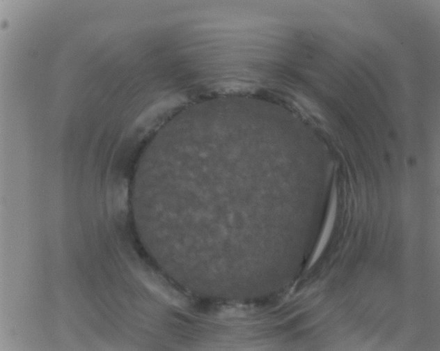 X0000063530550200601271904