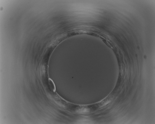 X0000063530551200601271904